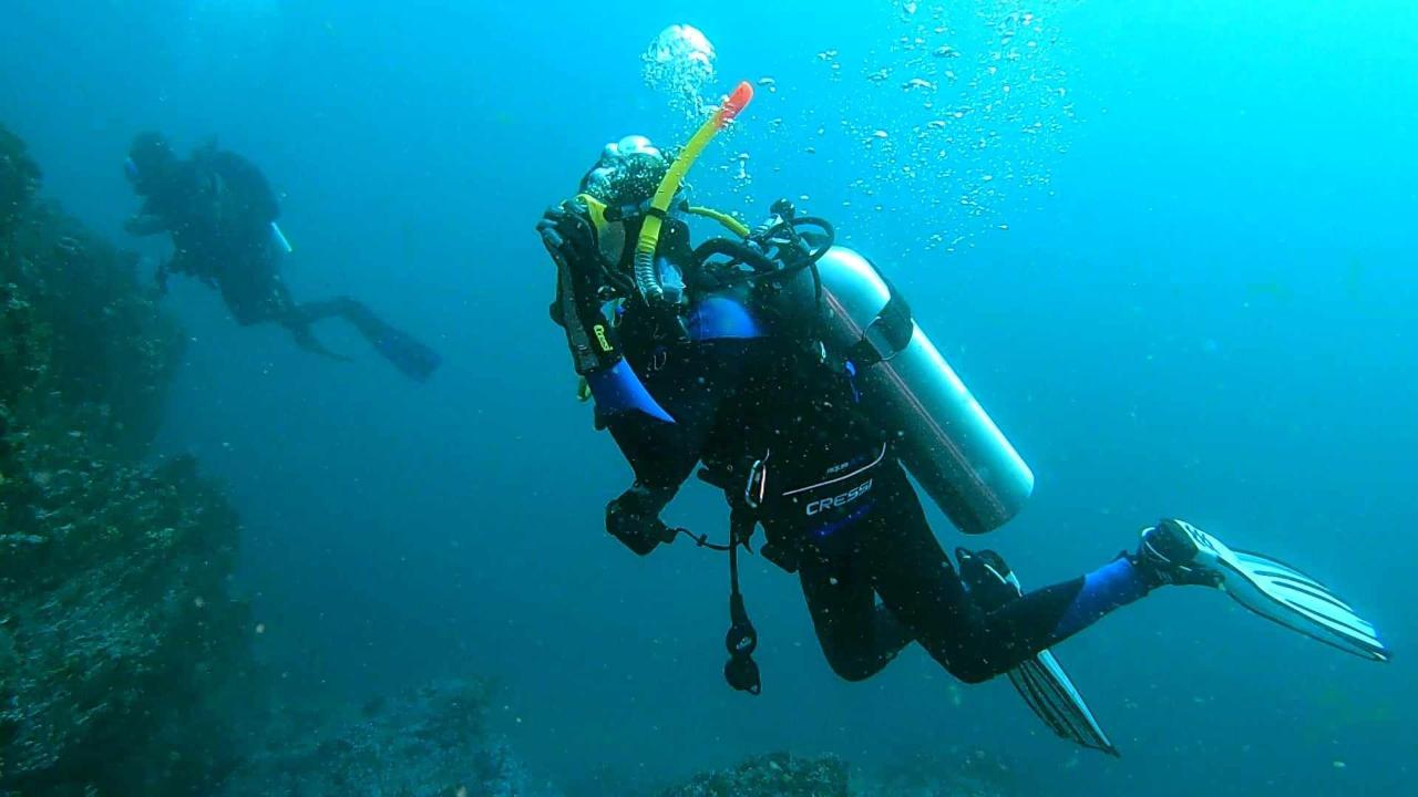 Morning Double Dive - Scuba