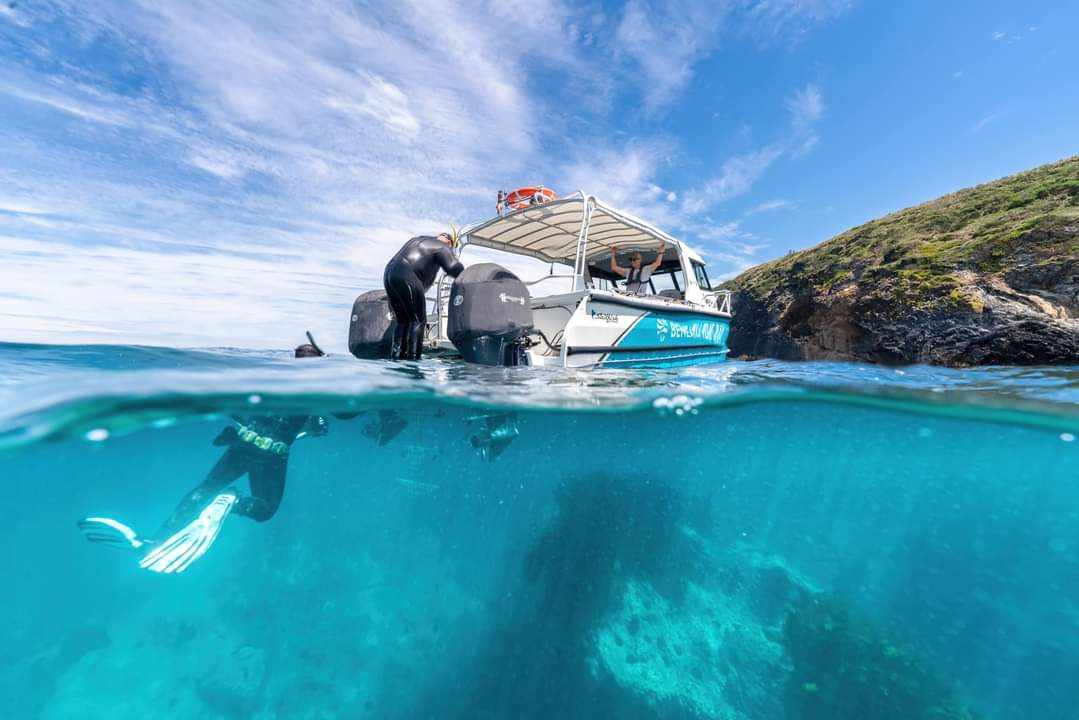 Private Boat Dive Charter