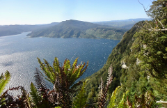 Lake Waikaremoana Scenic Flight via Rotorua