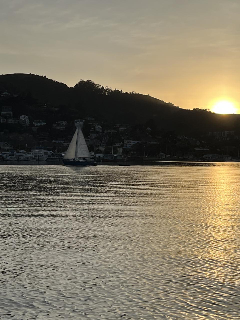 Private Charter - Scattering Ashes on San Francisco Bay (6 Guests)