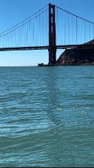 Private Charter - Scattering Ashes on San Francisco Bay (6 Guests)