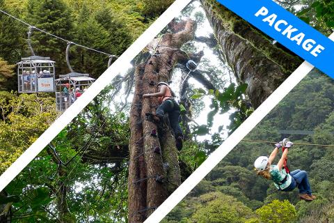 Monteverde - COMBO - Sky Trek, Tram & Arboreal