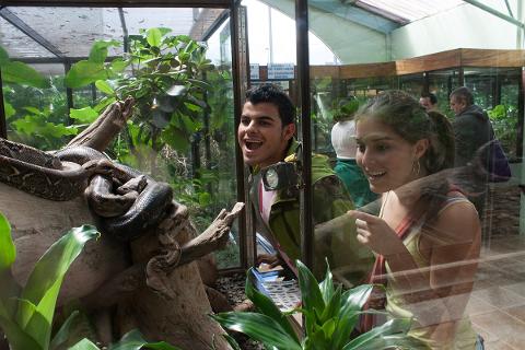 Monteverde - Herpetarium Adventures