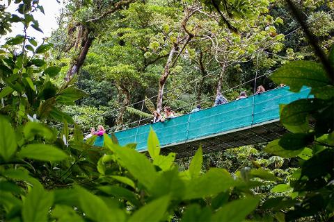 Monteverde - Sky Walk (Guided Tour)
