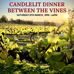 Candlelit Dinner Between The Vines