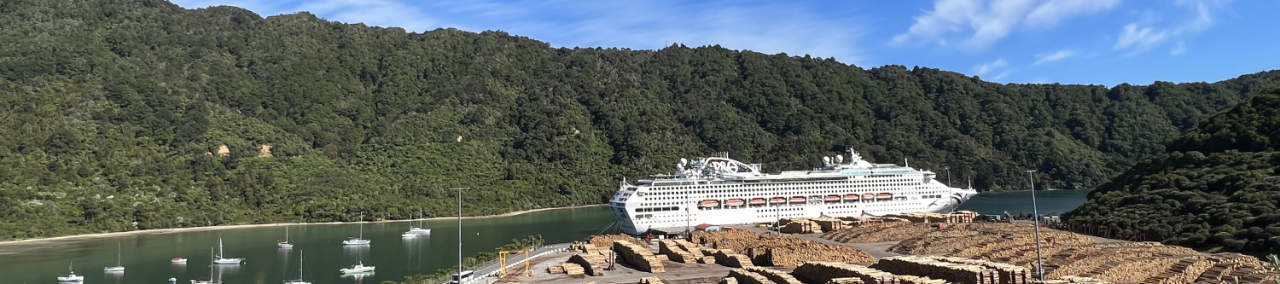 Picton cruise ship shore excursion- private limousine charter