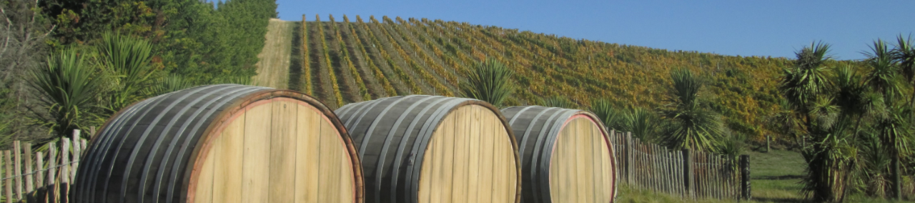 The Marlborough Wine Time Tour from Picton - Group of 3 passengers