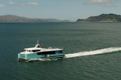 Wellington Harbour Explorer