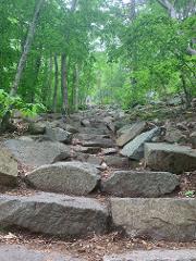 Hike the Blue Hills Eliot Tower Loop