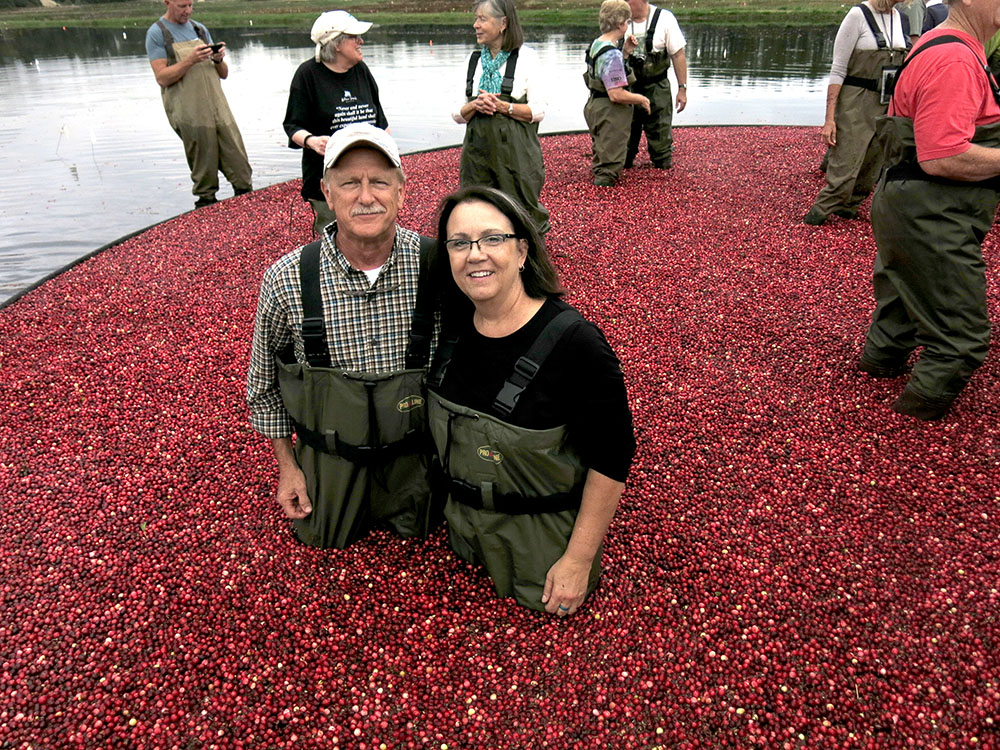 Become a Cranberry Bogger: Experience a Day on the Farm