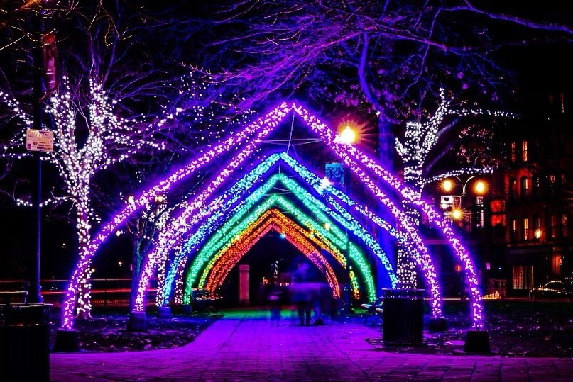 Holiday Lights at New England Botanic Gardens: Roundtrip Transportation from Boston Included!