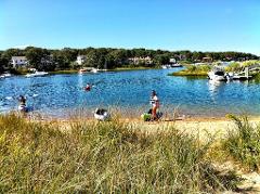 Explore Popponesset Bay by Kayak on Cape Cod