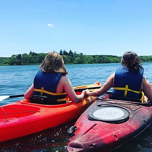 Cape Cod Kayaking Adventure: Roundtrip Transportation Included