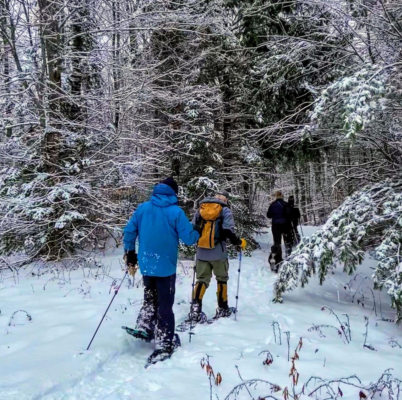 Guided Winter Snowshoe Adventure in Massachusetts