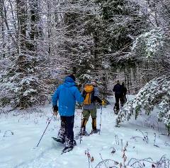 Guided Winter Snowshoe Adventure in Massachusetts 