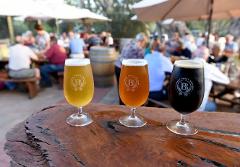 Barossa Valley 7-hour Craft Brewery Tour