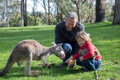 Cleland National Park Tickets