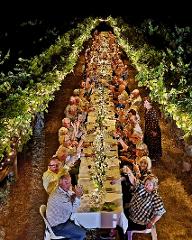 Long Table down the Vines 2025