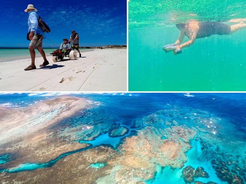 Abrolhos Full Day Fly & Flipper