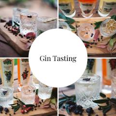 Gin Tasting