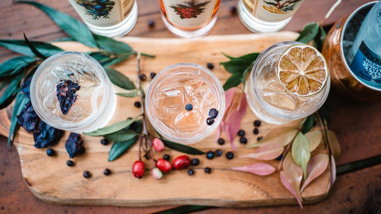 Gin Tasting Tamborine Mountain Distillery Reservations