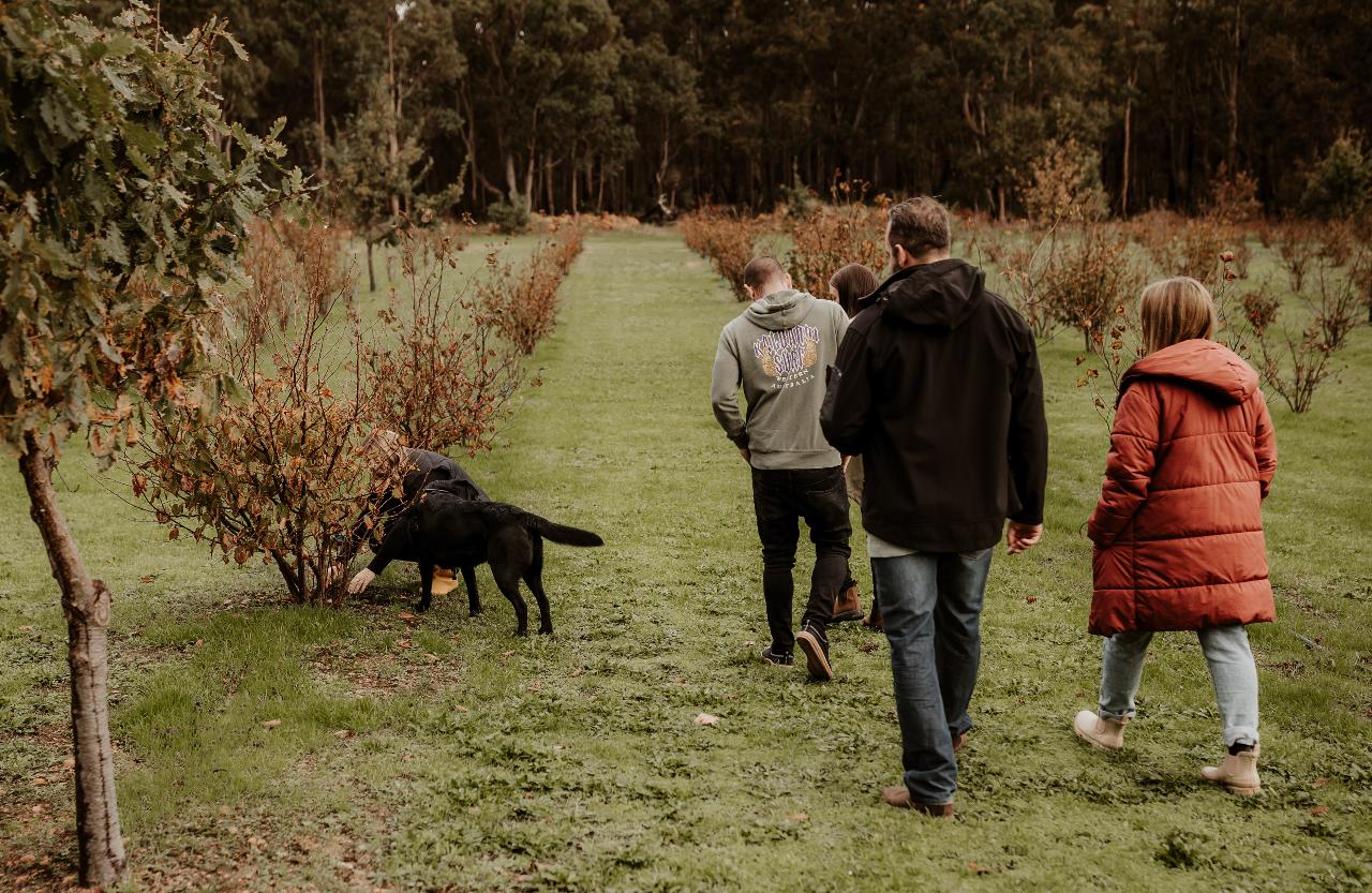 Dig Deep - Margaret River Truffle Hunt Experience