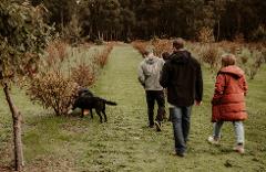 Dig Deep - Margaret River Truffle Hunt Experience