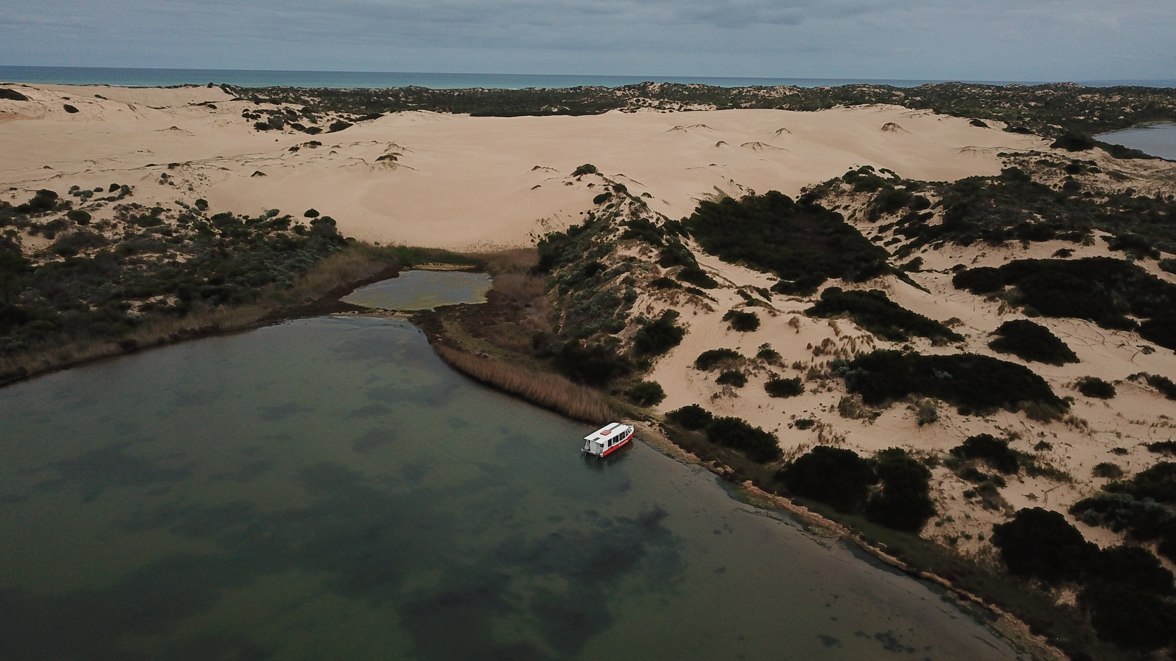 Coorong Wildlife & Wetlands  Photographic Safari - 2 Days