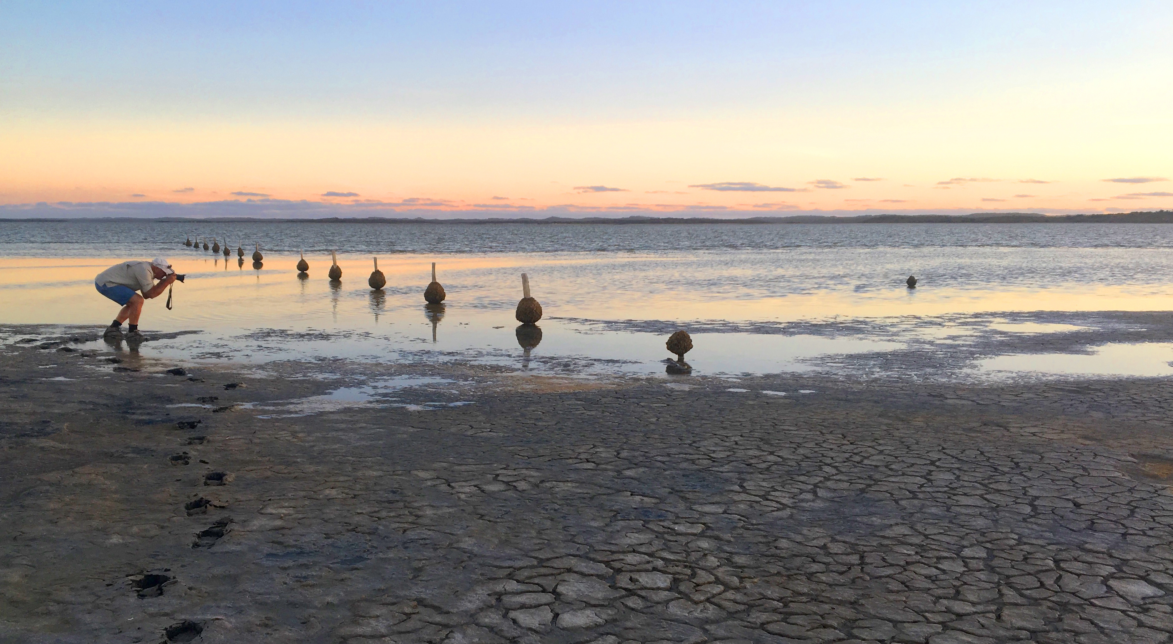 Coorong Wildlife & Wetlands  Photographic Safari - 2 Days