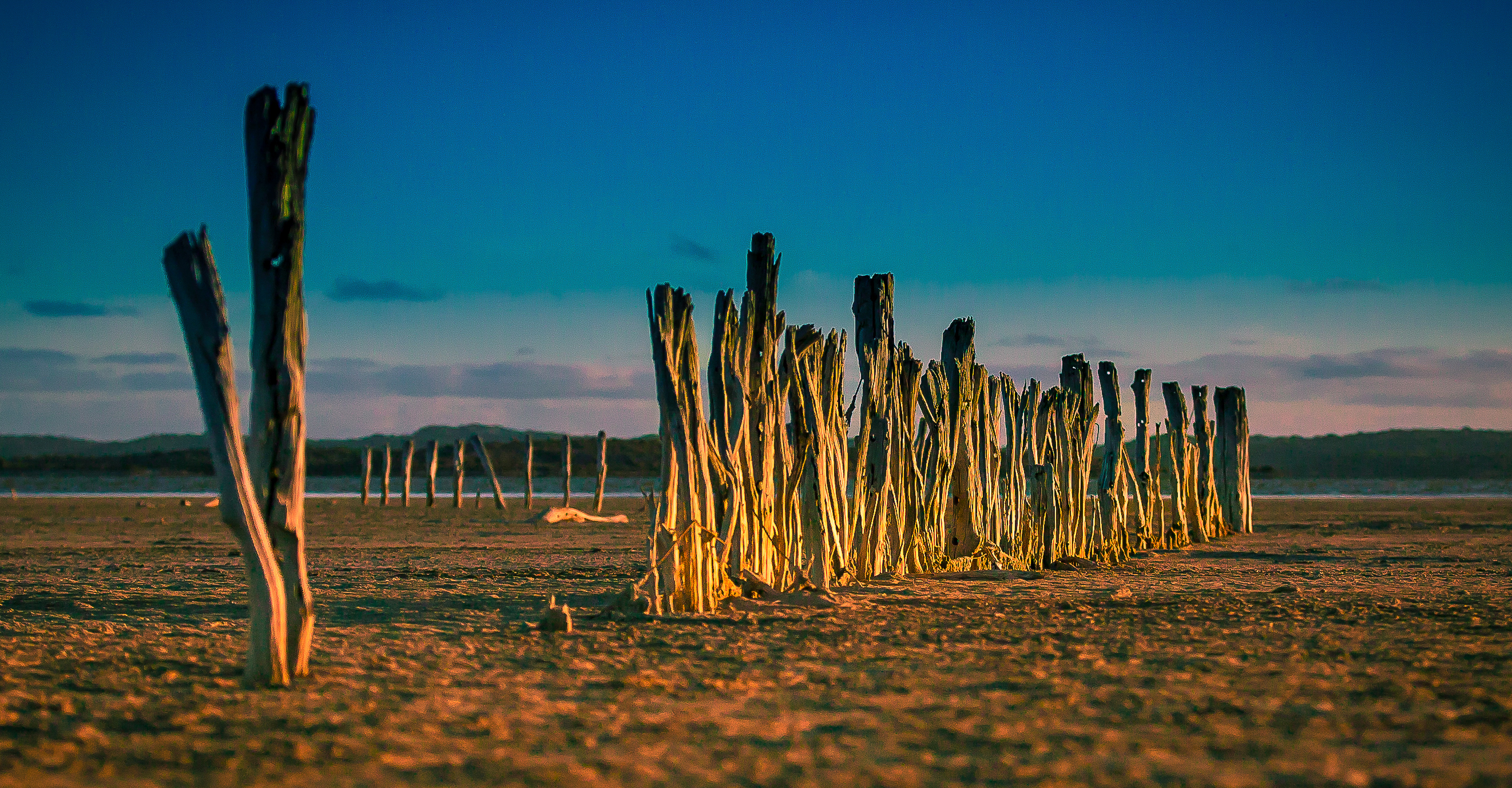 Coorong Wildlife & Wetlands  Photographic Safari - 2 Days
