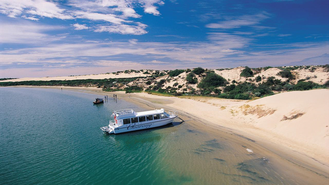 Coorong Wildlife & Wetlands  Photographic Safari - 2 Days