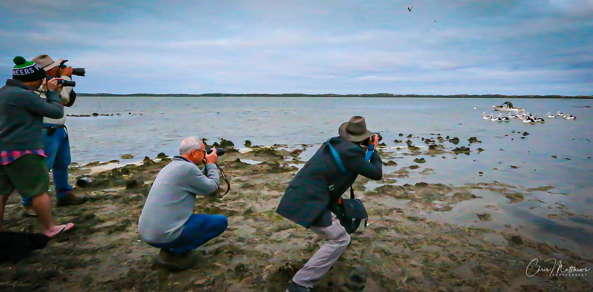 Coorong Wildlife & Wetlands  Photographic Safari - 2 Days