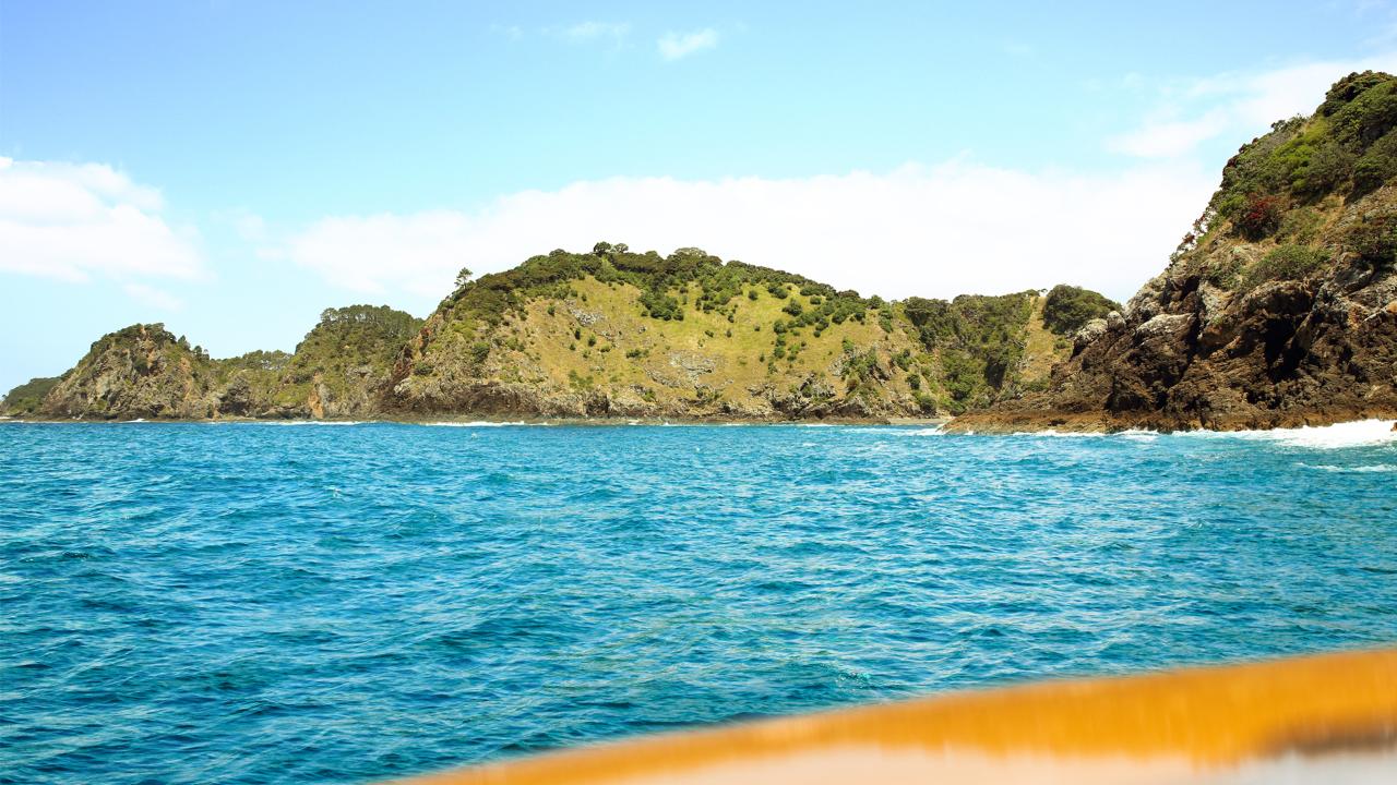 Bay of Islands Half Day Cruise - 'Cruise Ship Special'