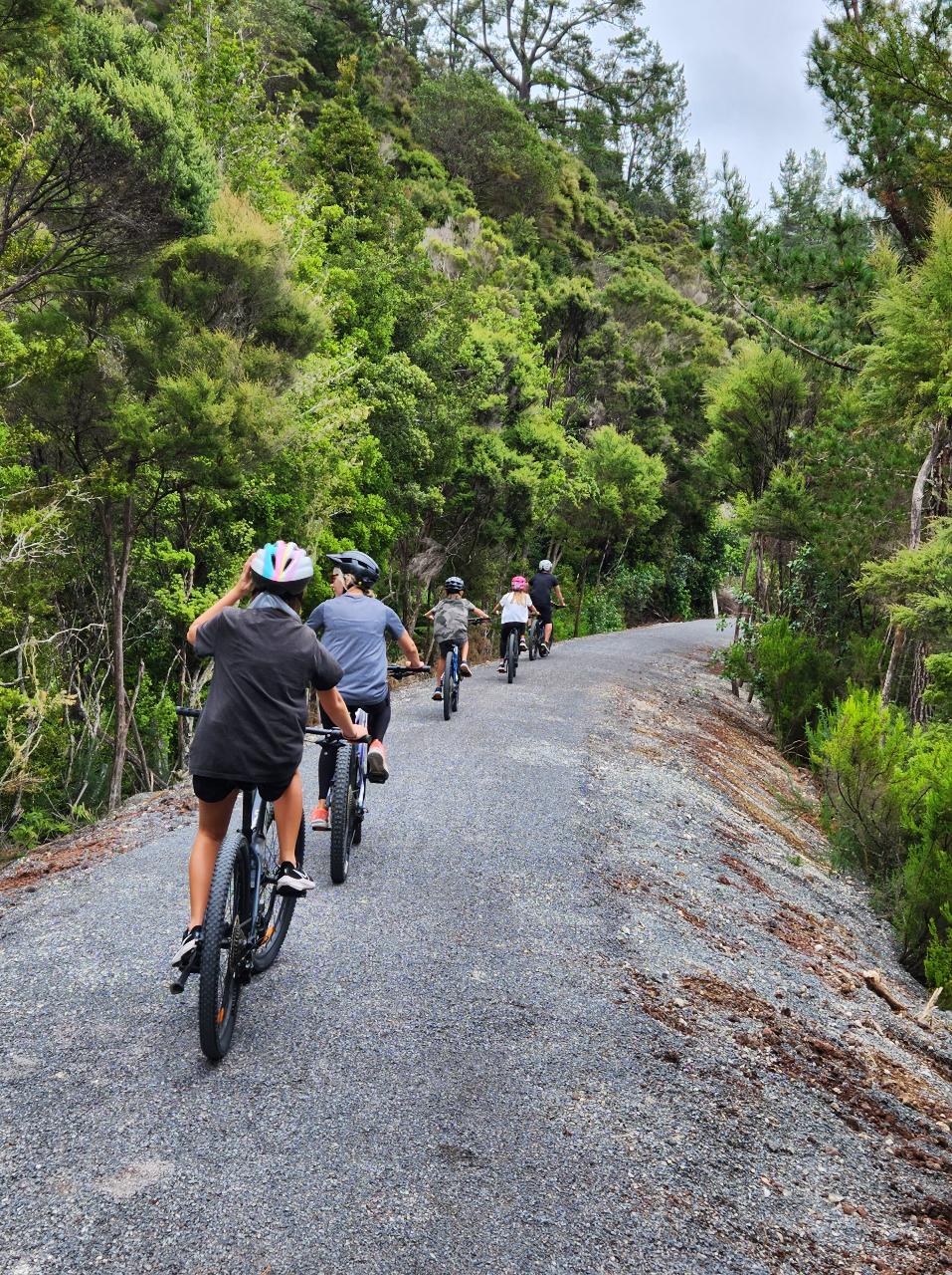 Trail to Train Bike Hire & Train Combo