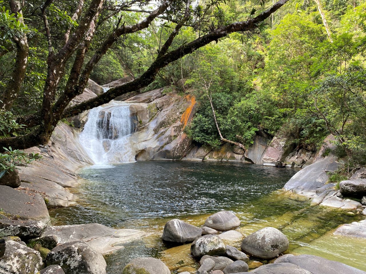 Cassowary Coast Waterfalls & Culture Tour