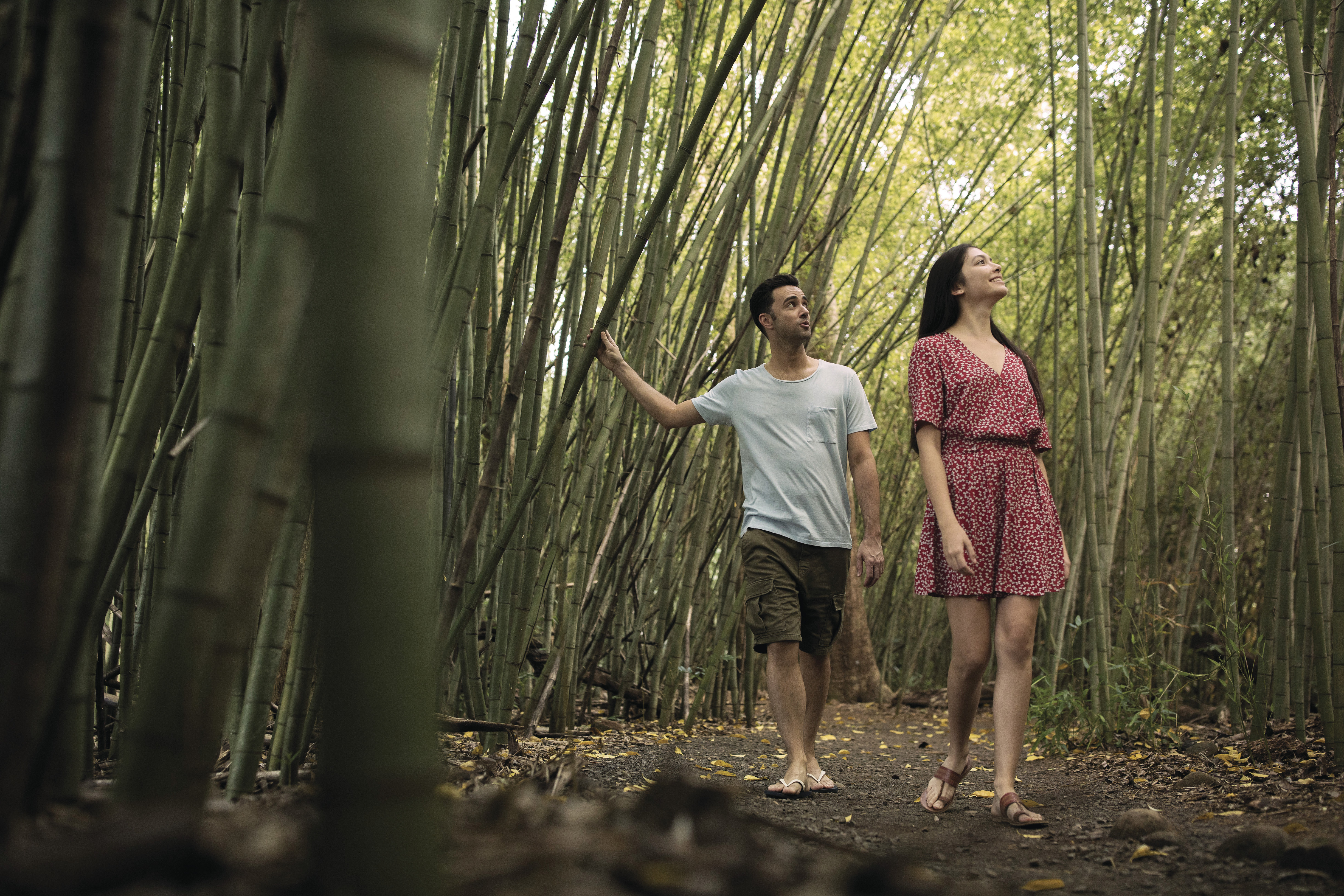 PARONELLA PARK EXPERIENCE