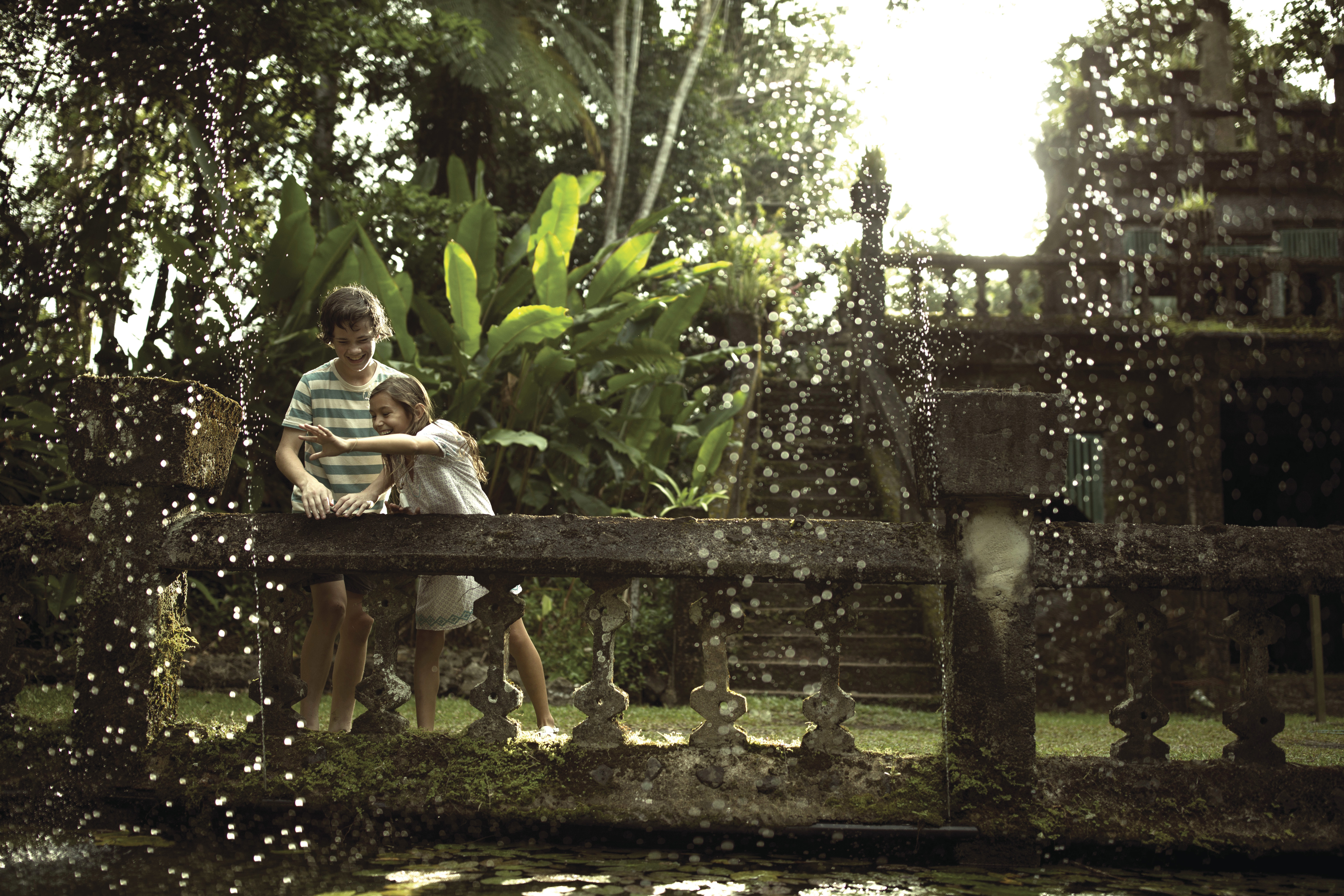 Tropical North Qlds Private Tours