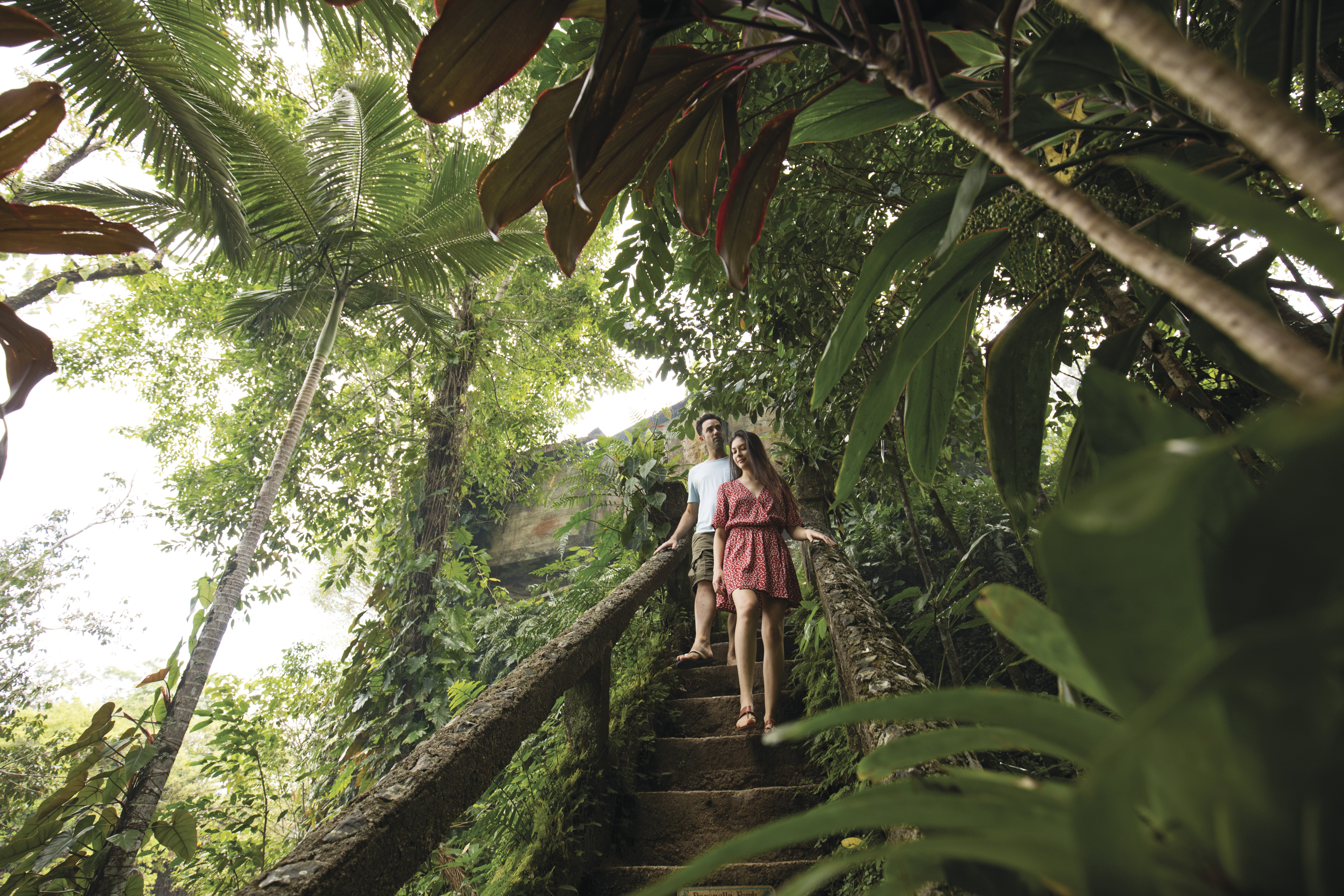 Tropical North Qlds Private Tours