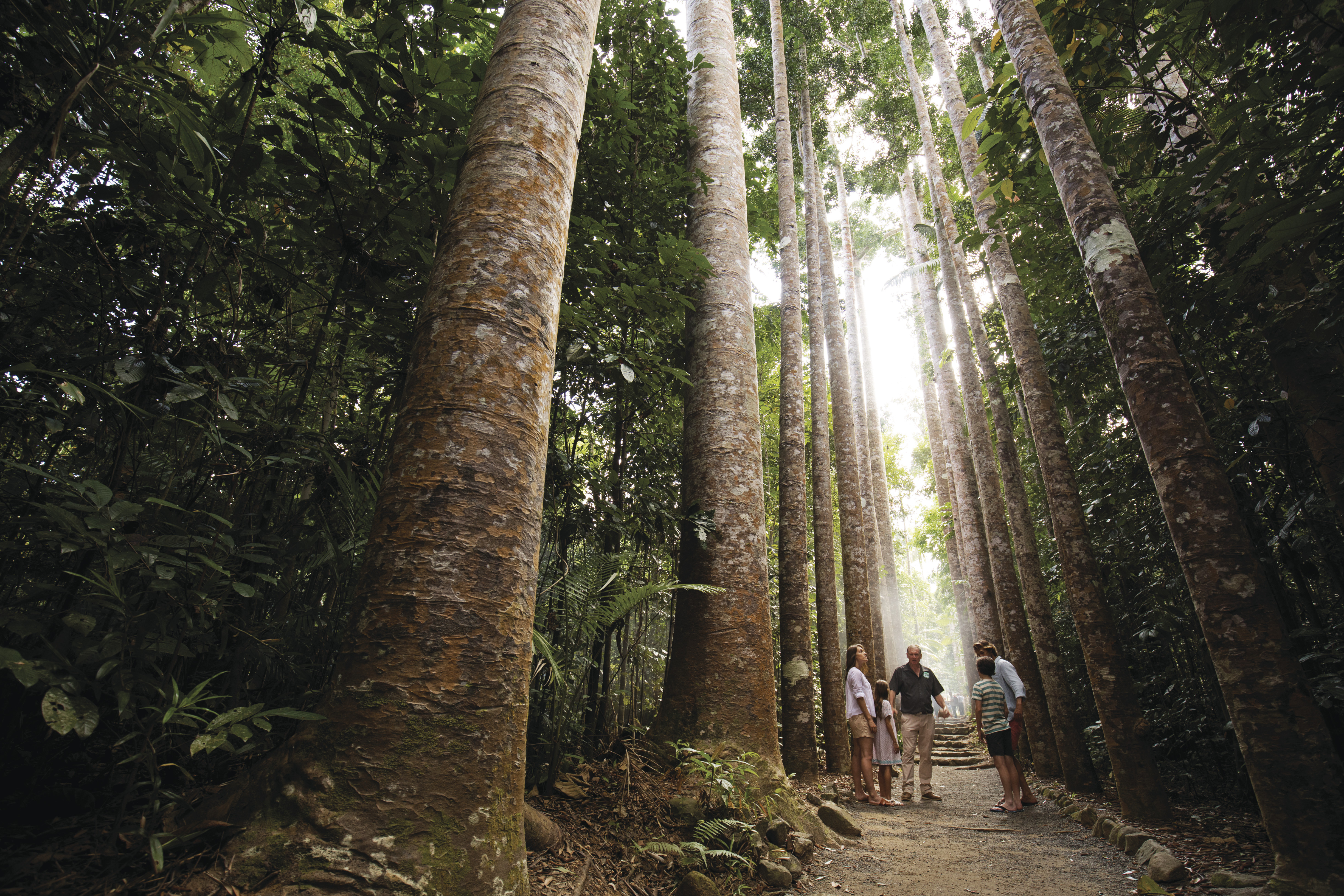 PARONELLA PARK EXPERIENCE