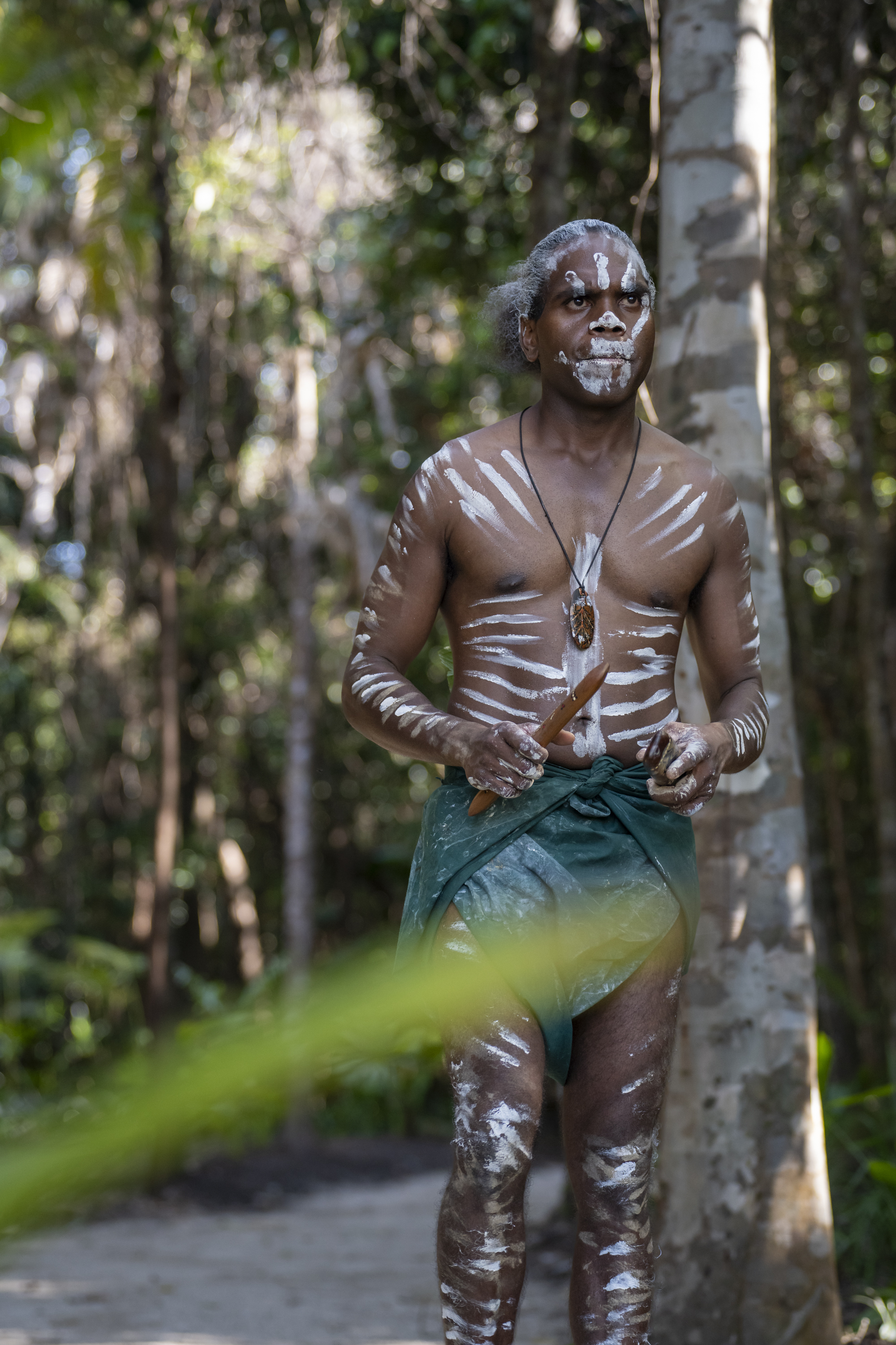 CASSOWARY COAST WATERFALL CULTURE TOUR