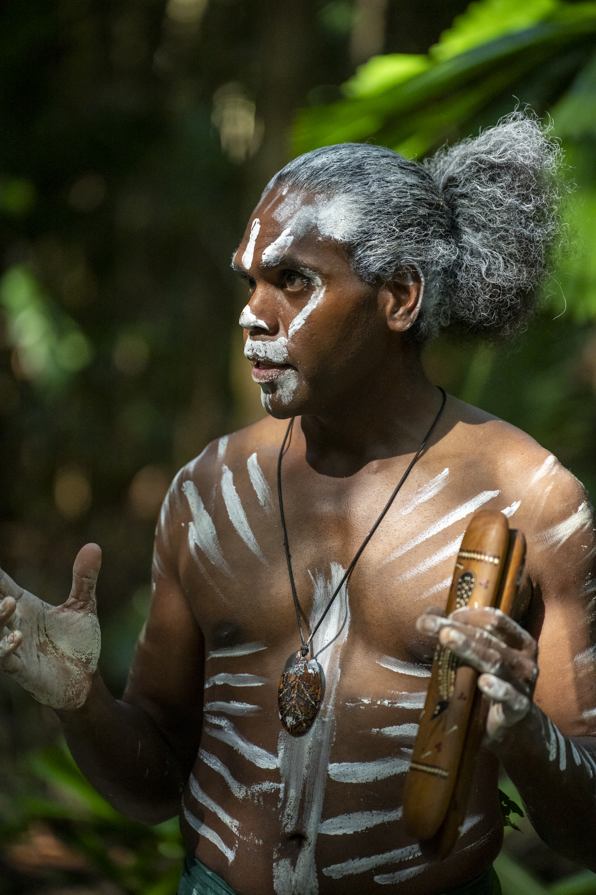 CASSOWARY COAST WATERFALL CULTURE TOUR