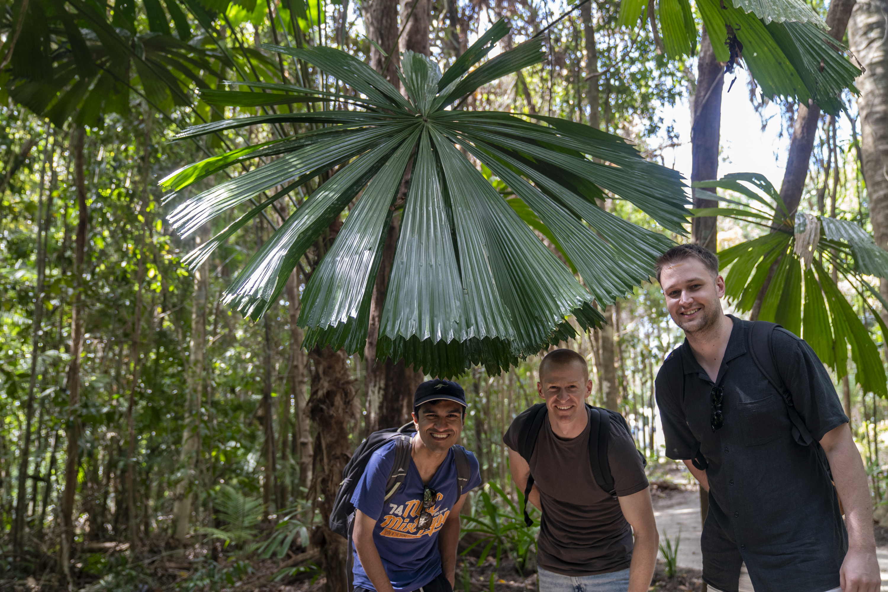 CASSOWARY COAST WATERFALL CULTURE TOUR