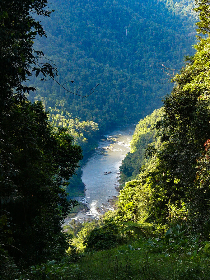 Tropical North Qlds Private Tours