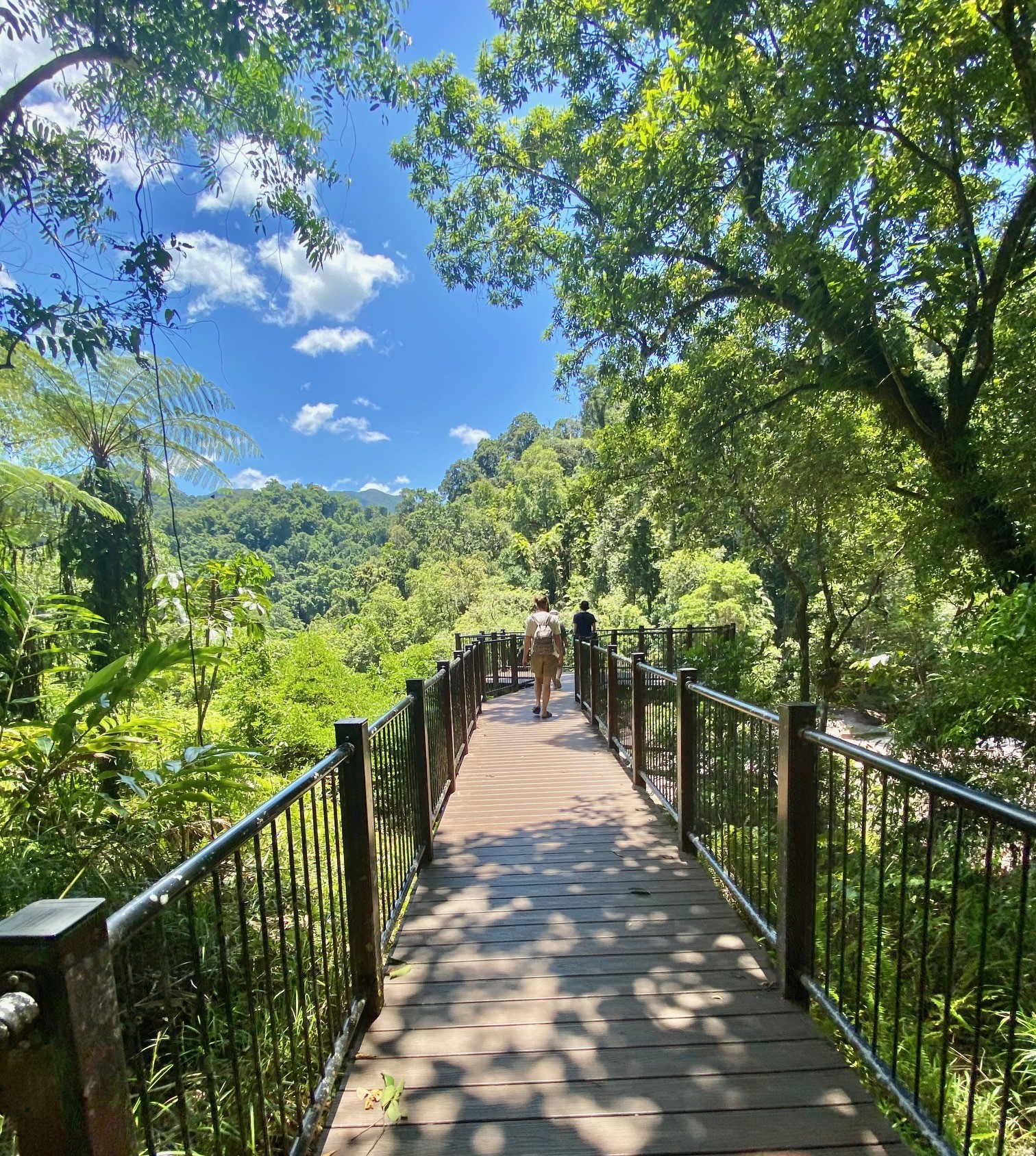 CASSOWARY COAST WATERFALL CULTURE TOUR