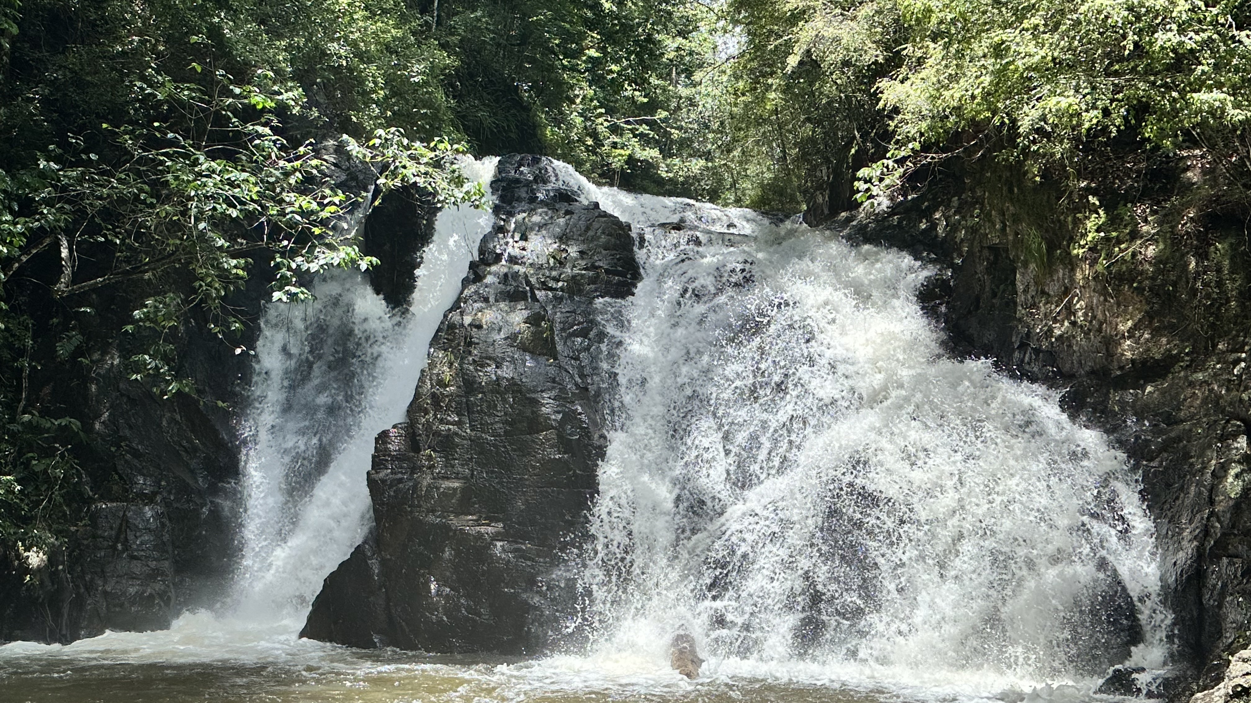 Tropical North Qlds Private Tours