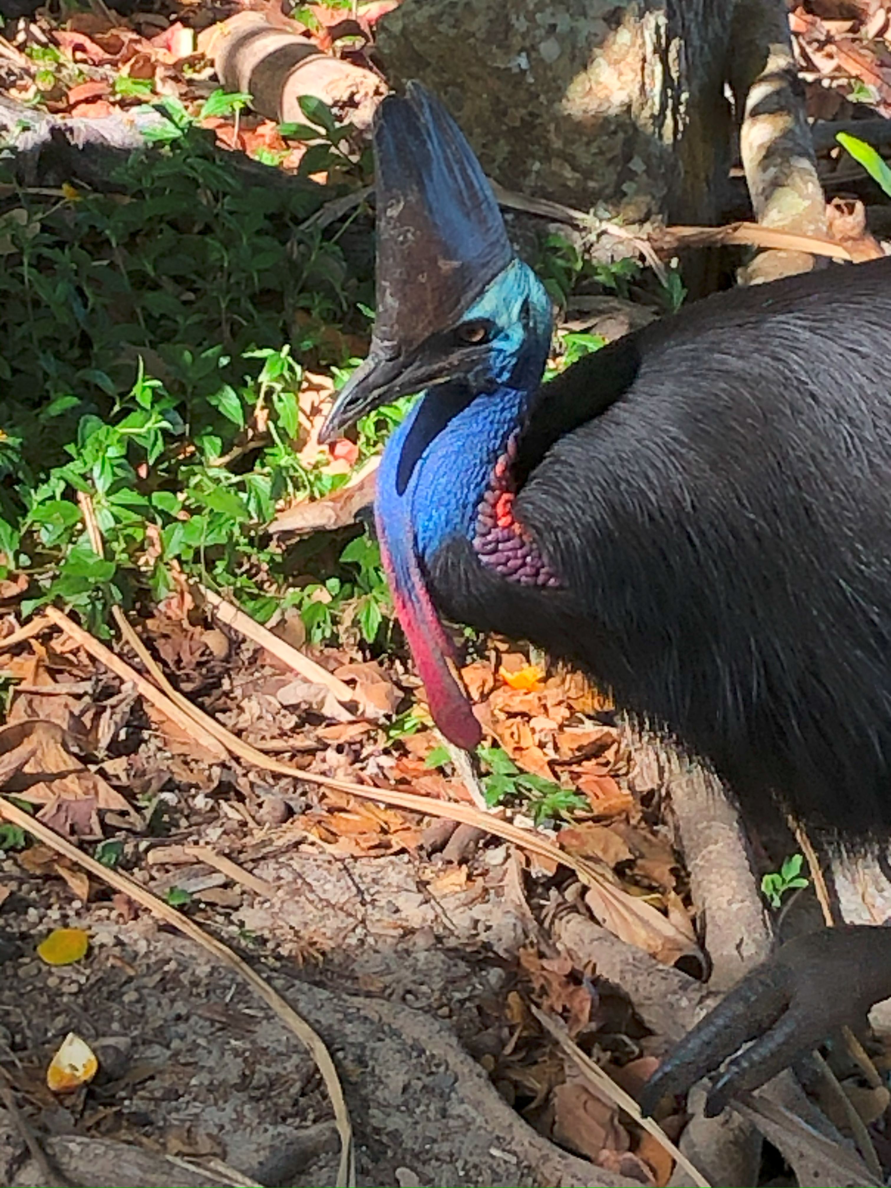 PARONELLA PARK EXPERIENCE