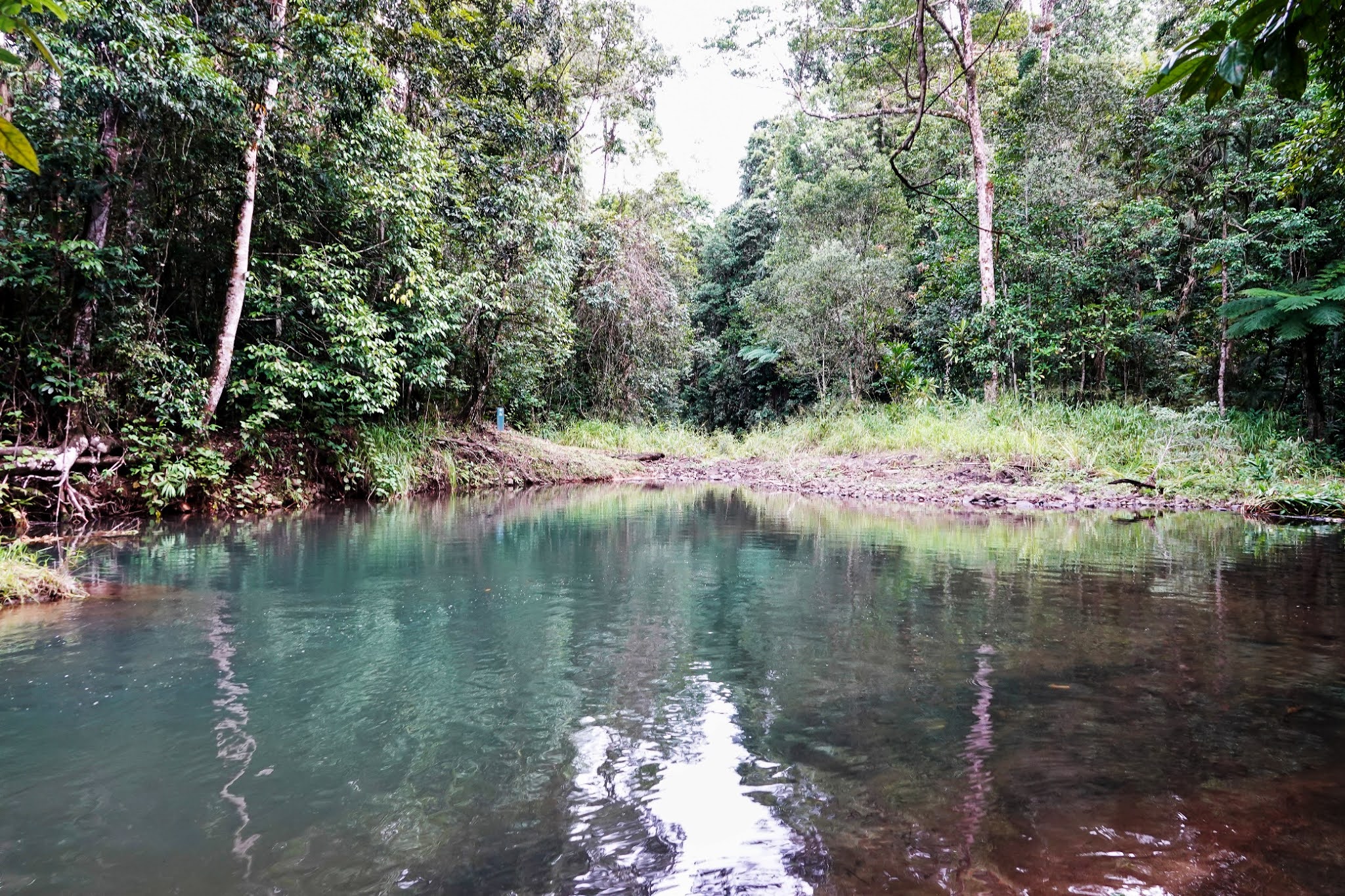 Tropical North Qlds Private Tours