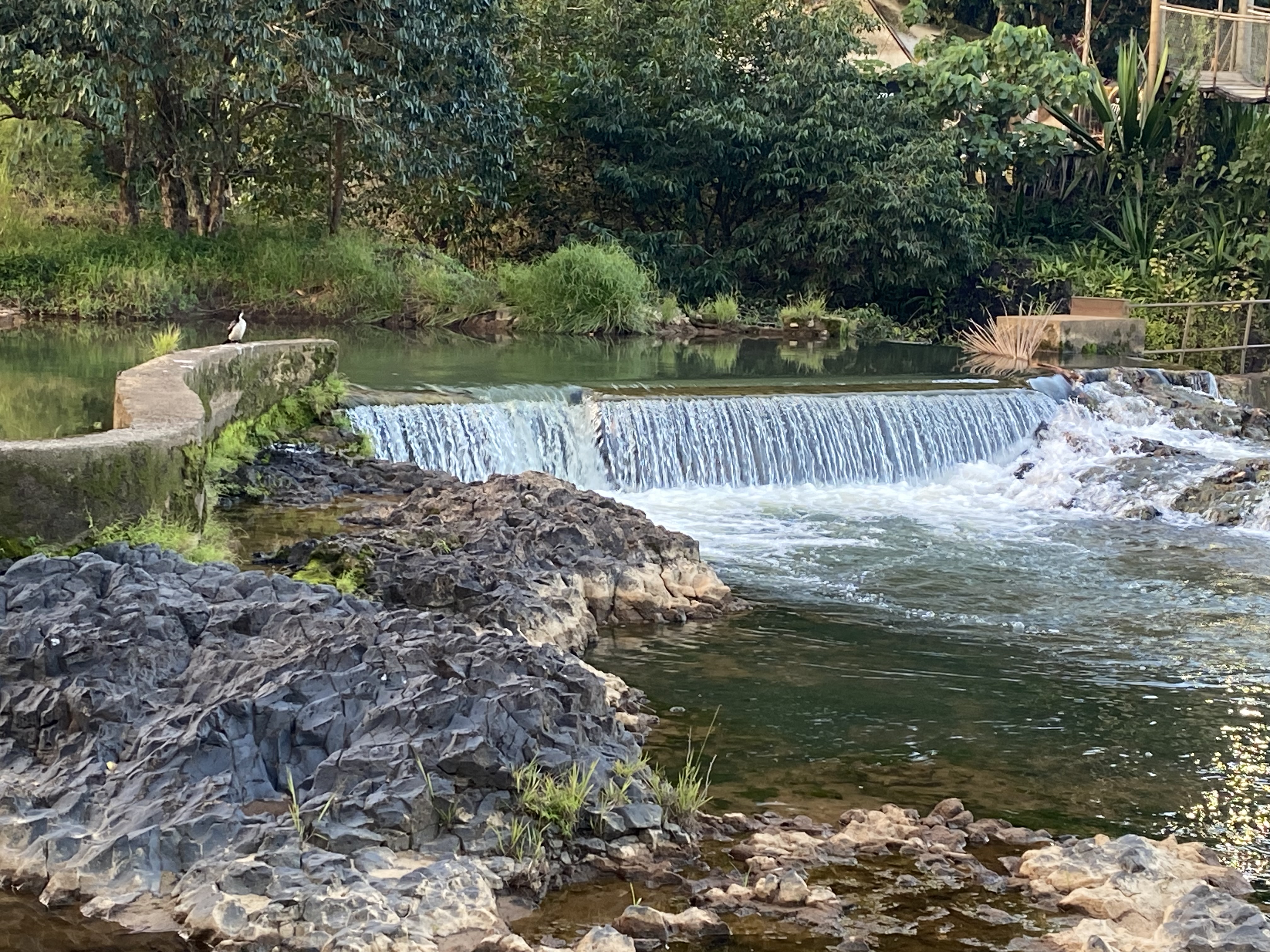 Tropical North Qlds Private Tours