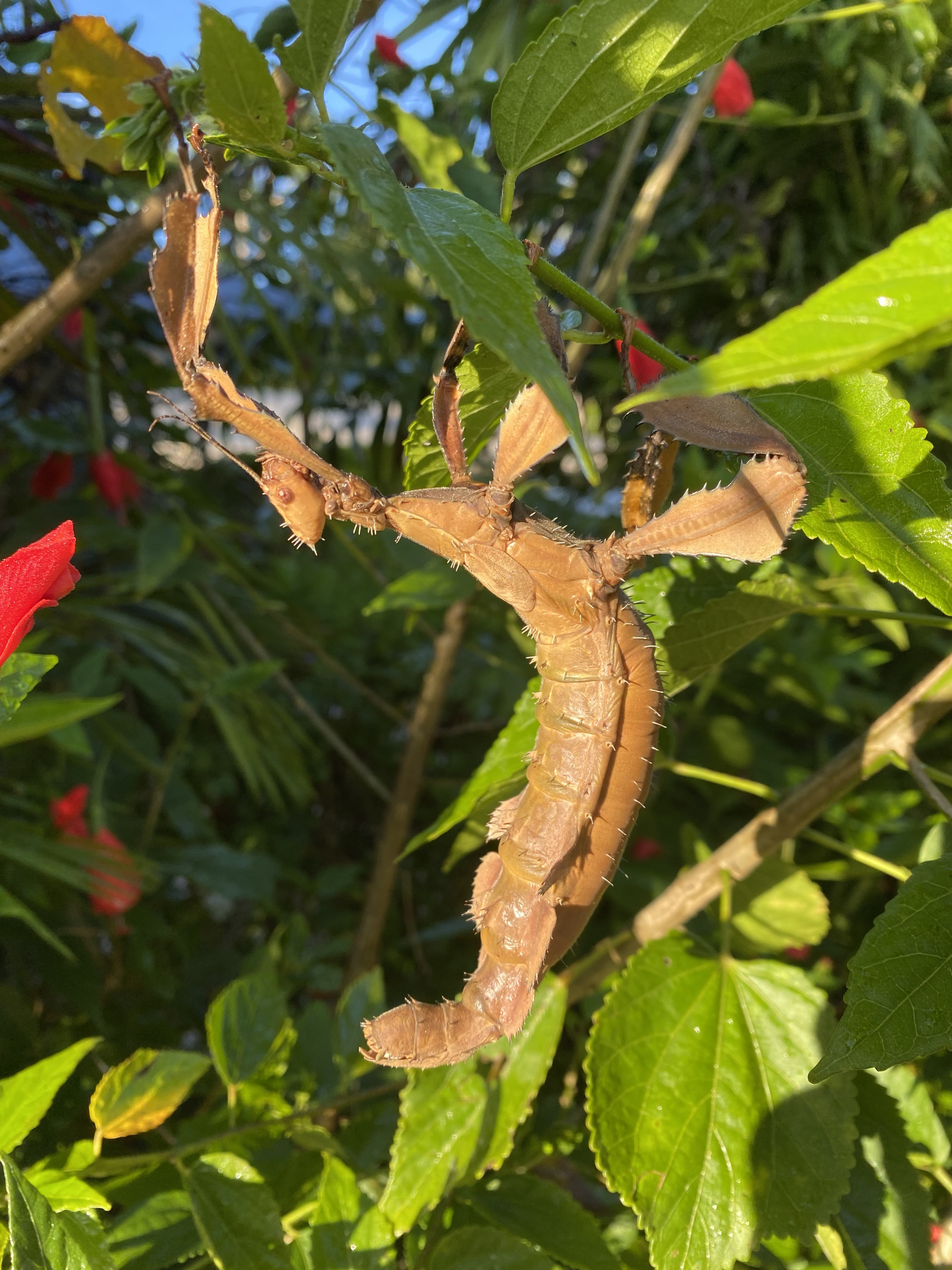 Tropical North Qlds Private Tours