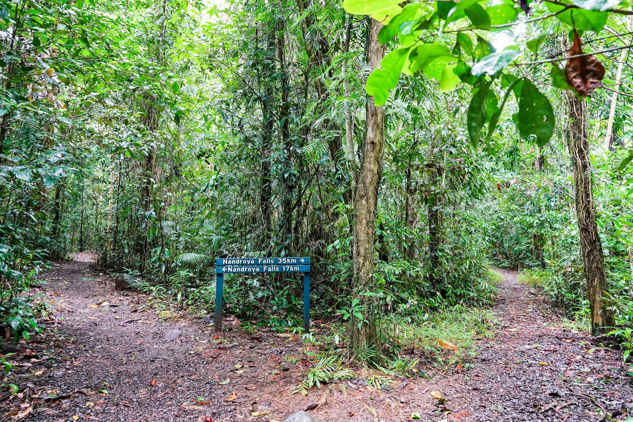 Tropical North Qlds Private Tours